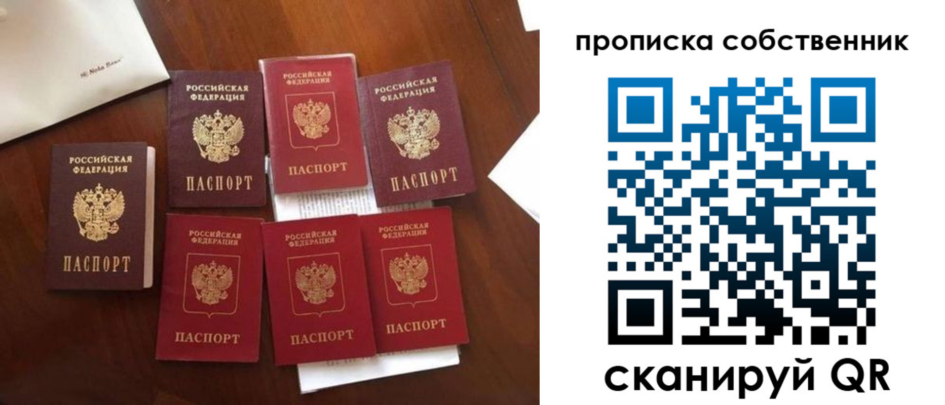 прописка для школы в Ефремове